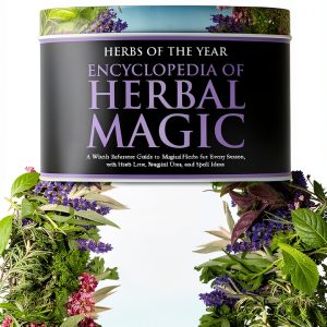 Green Witchcraft for Beginners Volume 4 Chamberlain Publications eBook-0